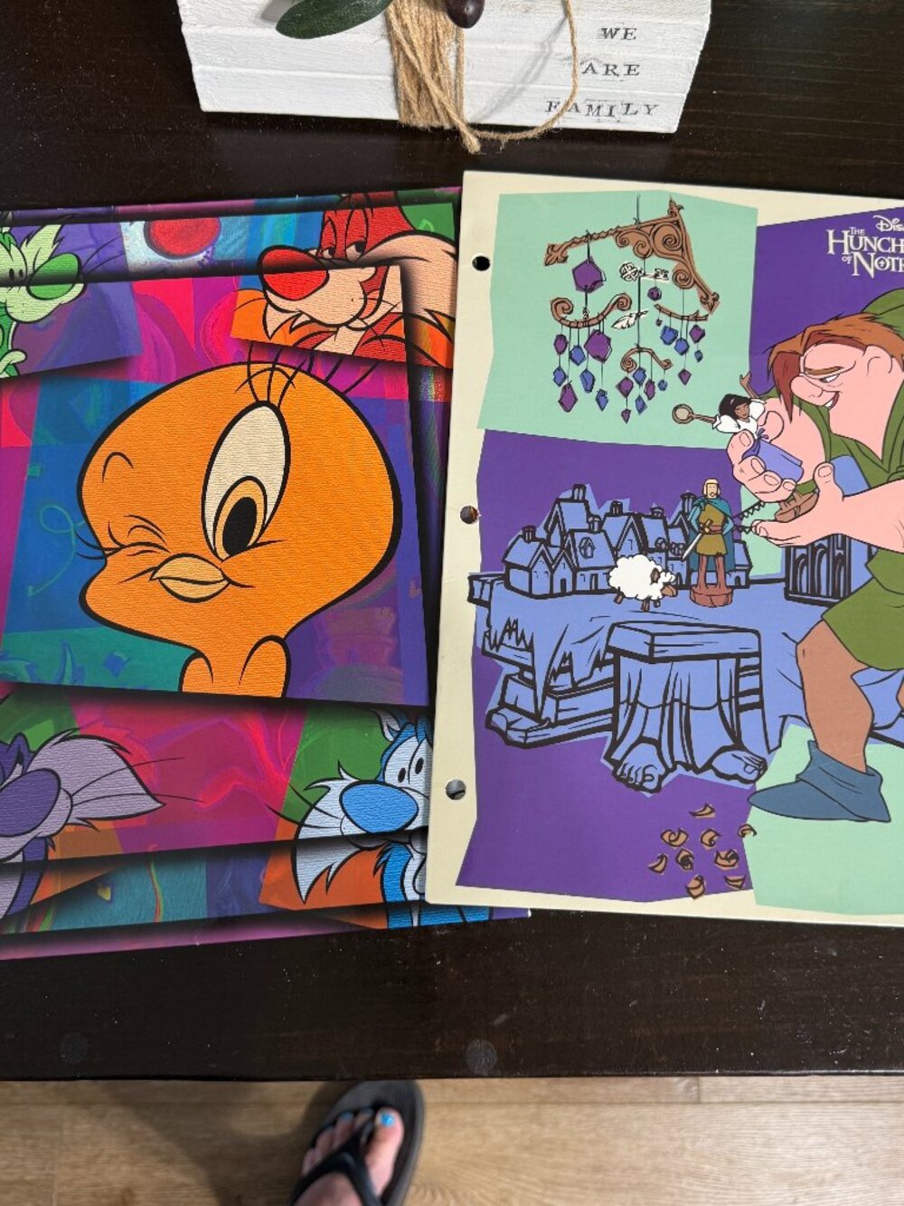 2 Vintage 90s School Folders Disney Hunchback of Notre Dame Looney Tunes Tweety